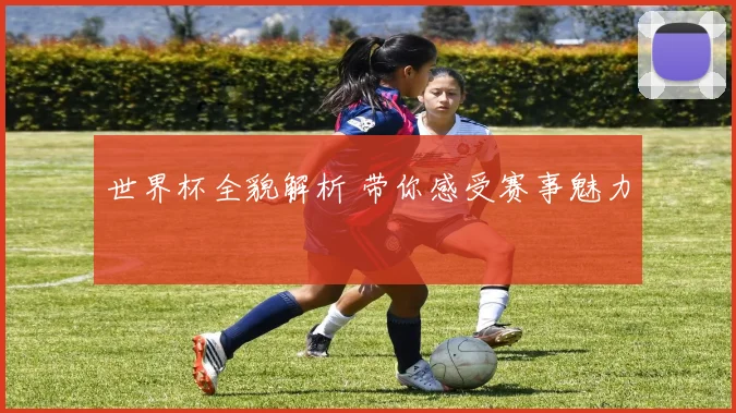 世界杯全貌解析 带你感受赛事魅力