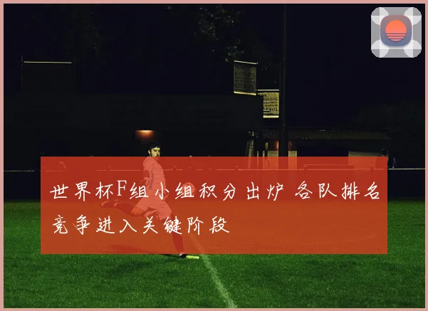 世界杯F组小组积分出炉 各队排名竞争进入关键阶段