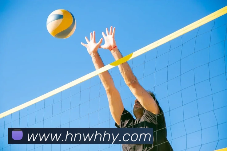 世界杯体育app官网服务体系